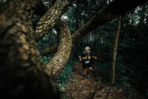 BIB: 
                            <button type="button" onclick="openModal(25699875)" class="btn btn-primary btn-sm float-right btn-popup" data-toggle="modal" data-target=".modal-high-quality">
                        <i class="fas fa-shopping-cart"></i> Add to Cart
                    </button>
                                            <button type="button" onclick="isThisMe(25699875, true)" class="btn btn-success btn-sm float-right btn-popup btn-isme hidden" data-toggle="tooltip" data-placement="bottom" title="นี่คือรูปของคุณใช่ไหม คลิกที่นี่เพื่อเอาเข้าอัลบั้ม">
                        <i class="fas fa-plus"></i> Add to album
                    </button>
                    <button type="button" onclick="isThisMe(25699875, false)" class="btn btn-warning btn-sm float-right btn-popup btn-isnotme hidden">
                        <i class="fas fa-ban"></i> Remove from album
                    </button>